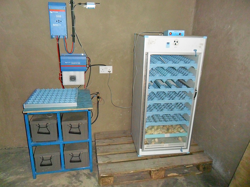 off grid installation in nigeria is used for a chicken egg incubator 