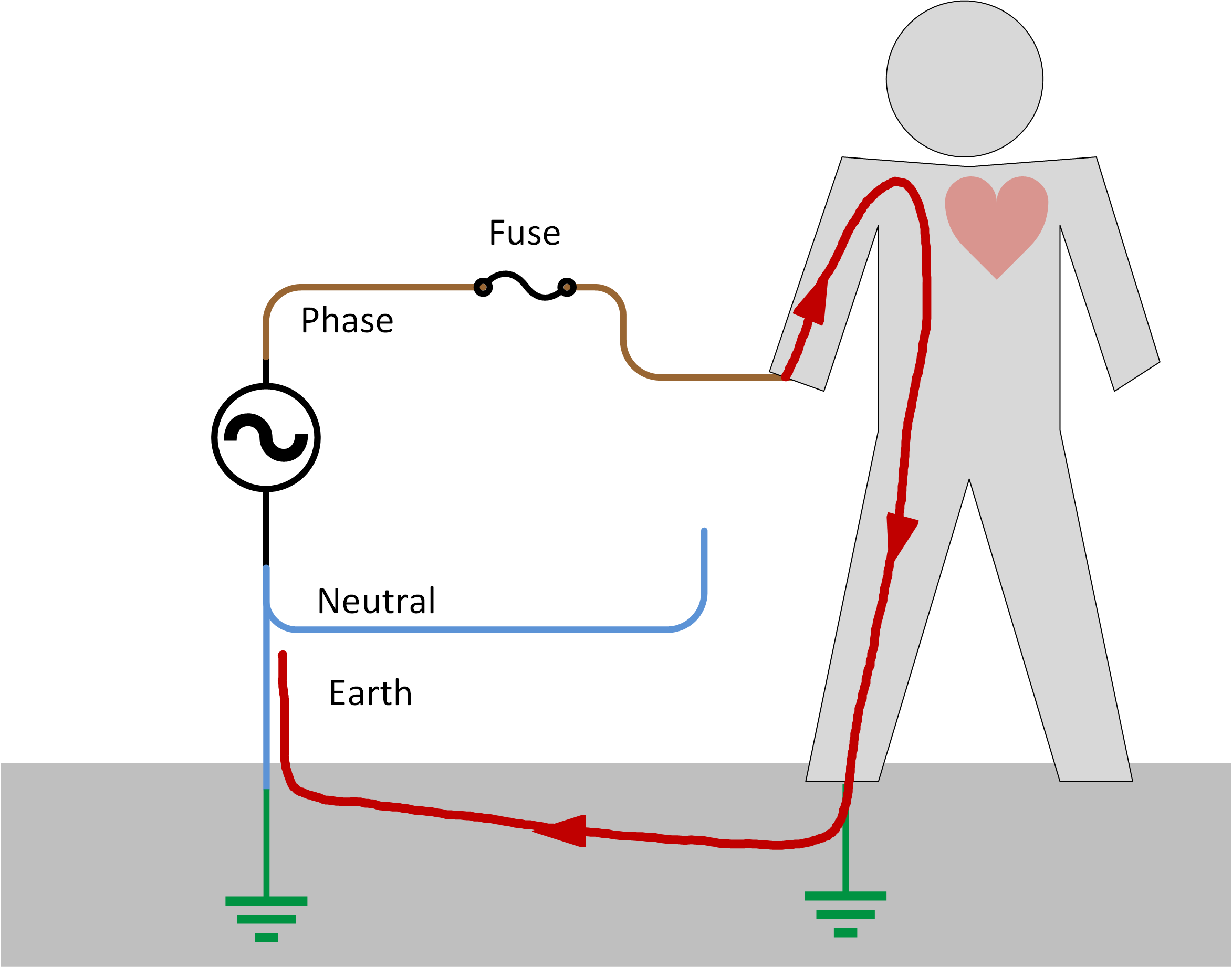 Electrical_safety_-_With_earth_-_Touching_live.png